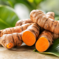 Turmeric