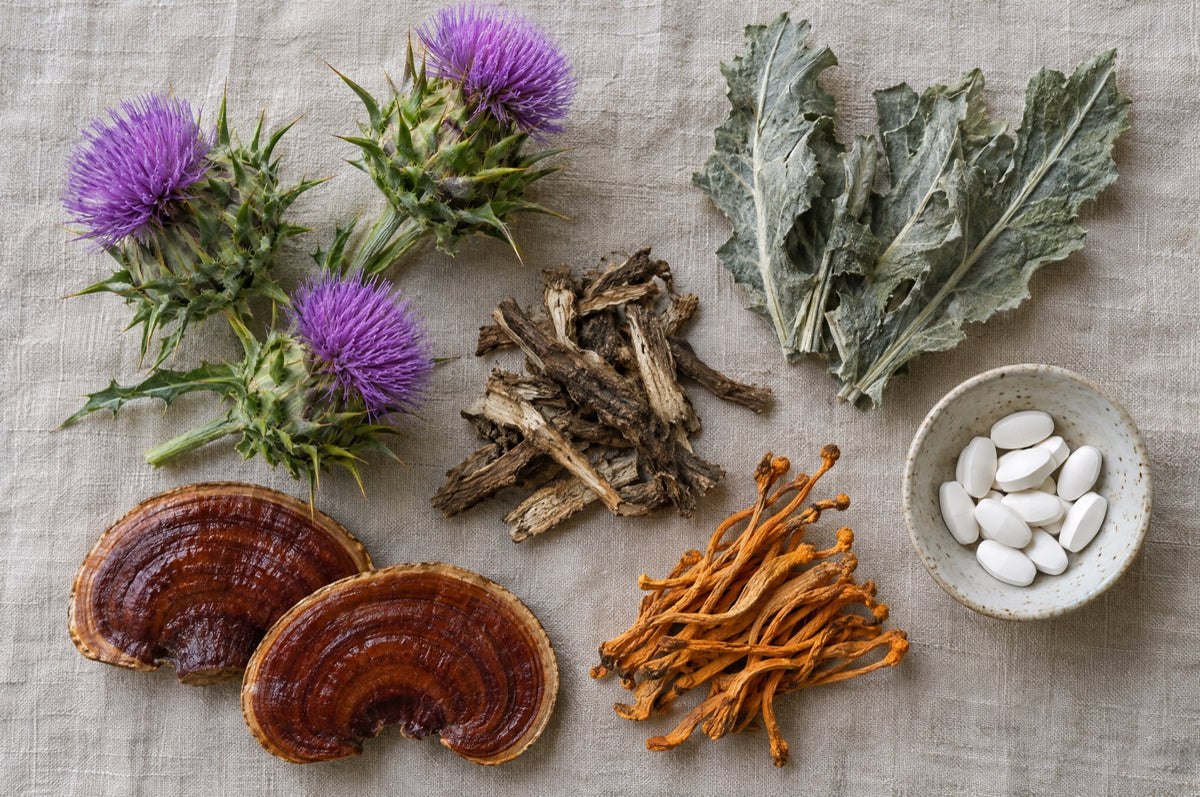 Mariendistel, Reishi- und Cordyceps-Pilze und getrocknete Pflanzen auf Leinen